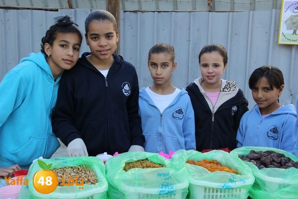 rashidiya 0212 (27).JPG